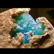 帝一翡翠
