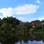 沉默5211