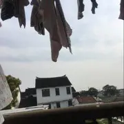 🐺烟四起