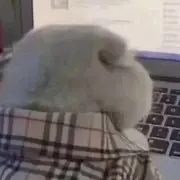 胡说九道啊