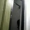 我叫陈高飞