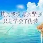 独爱红尘