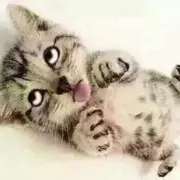 落日^_^星辰