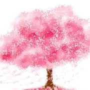小彩小彩等我吧