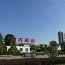 偏爱我的太阳