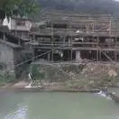 家长kz