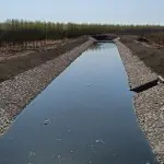 什么什么哥