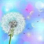 开心捷