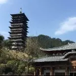 ⚛执迷不悟⚛
