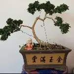 ☞跟着主播学坏☜