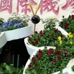 闲逛二百五的，老爷孑