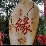 🌹周夫人🌹