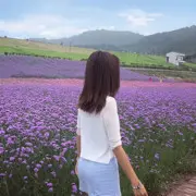 8897光年