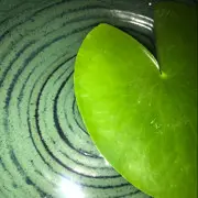 东北大板...