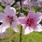 🌹烟瘾哥🌹