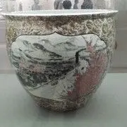 好好好好好好可