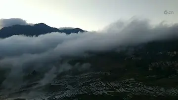 旭日东升，云雾缭绕，田野绿草。