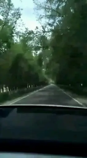 好无聊呀