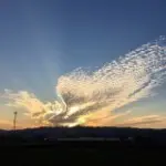♥╭虎哥♥╭