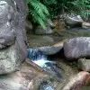 精彩$未来