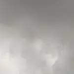 ➳JH➹坐看