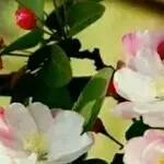 爱听歌的缘分