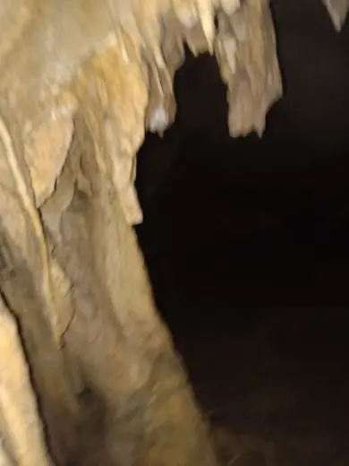 光头强原石直播的主播照片