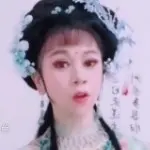 黄梅戏🌺墨梅