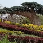 故里长安
