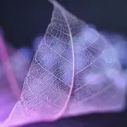 小鲁班☆