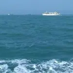 ★ℳ天宇哥