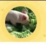 没爱了啦