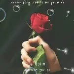 红🌹玫🌹瑰