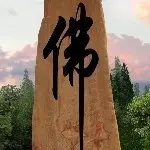 🐲缘┻非┳缘🐉