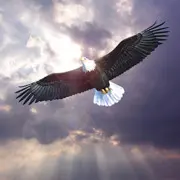 有爱╰─爱我如爱你☪