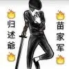 刘家h6