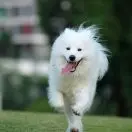 CoCo*6!