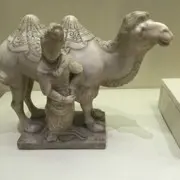 逆流的🐟鱼