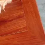 没币玩个毛追妹崴脚了