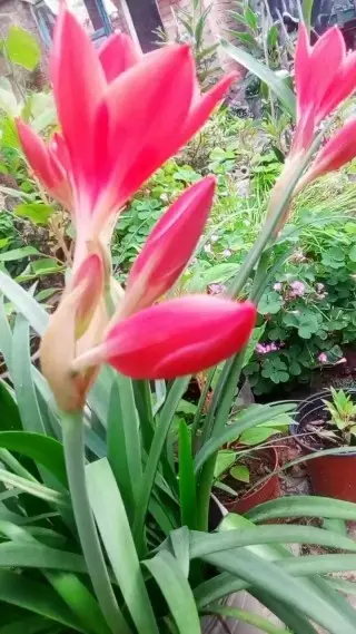 哈哈哈快乐潇遥的主播照片