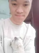 新一666