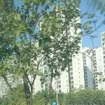 兲ふ│、吴語＆