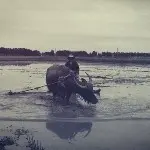 小布布☞