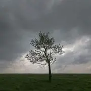 智慧彼岸海报