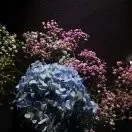 00煒00