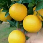 ☃≦沕≧缘缘😊