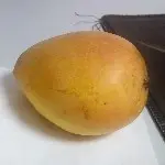 🐔小鸡拔毛🐔