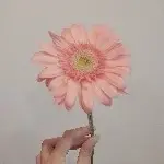 游客sdkjf
