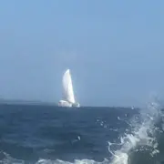 方若虚