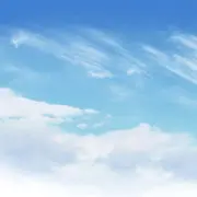 就是不刷。